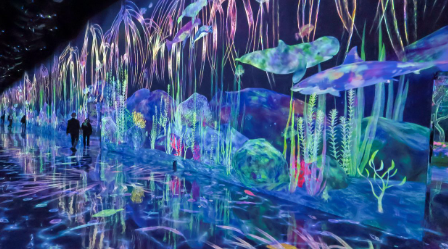 Team lab Planets Attraction